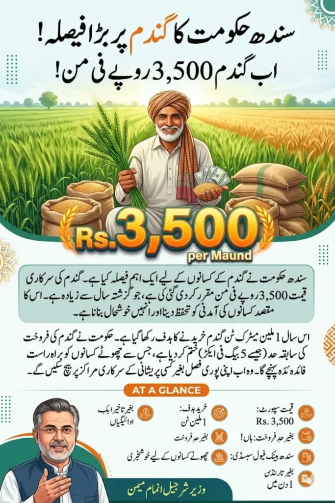 Sindh Government Wheat Support Price with 1 Million Metric Ton Procurement Target Check Now